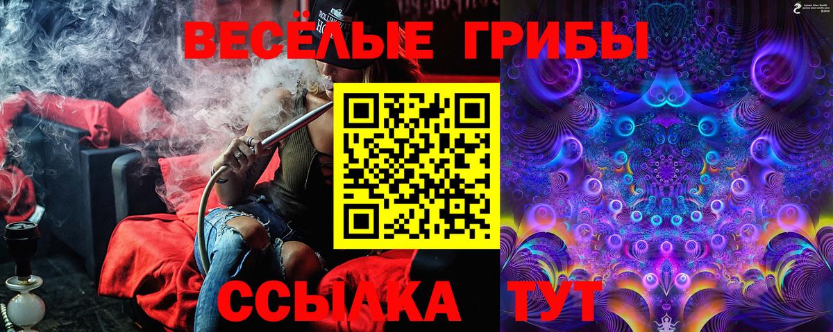 Псилоцибиновые грибы мухоморы Удомля