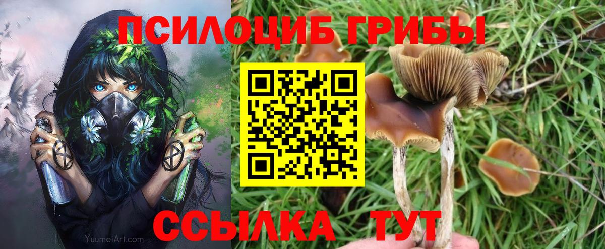 Удомля  Псилоцибиновые грибы MAGIC MUSHROOMS  где можно купить   Вход с VPN  Псилоцибиновые грибы MAGIC MUSHROOMS 